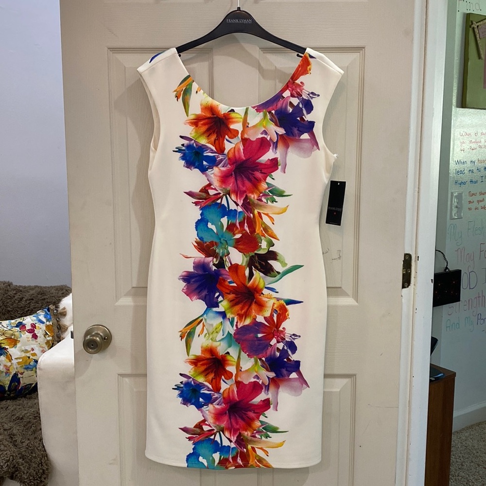 Frank Lyman Dress